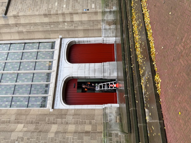 IMG 3495